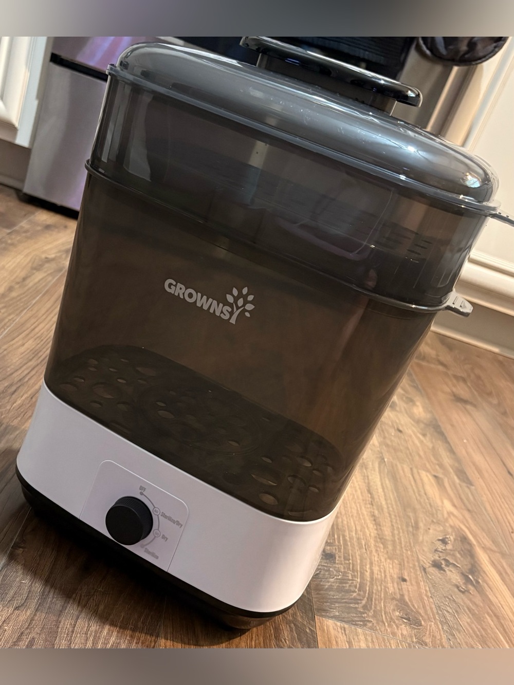 GROWNSY Gray and White Electric Multi-Tier Steamer